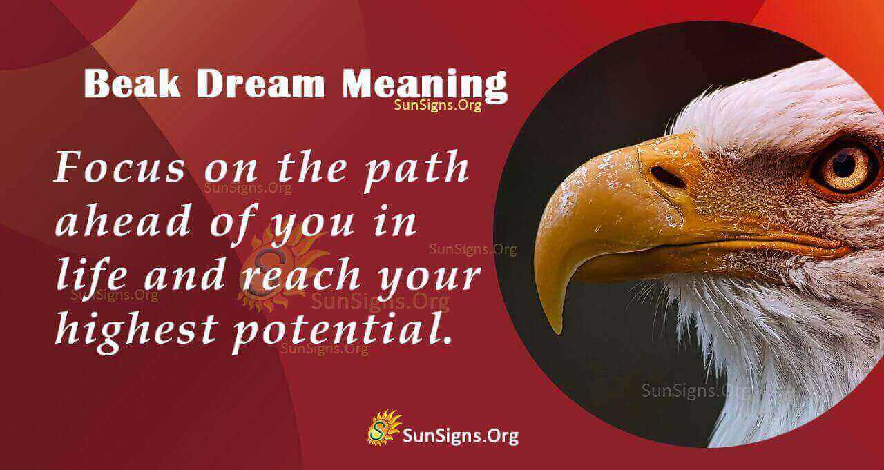 dreaming-of-a-beak-meaning-interpretation-and-symbolism