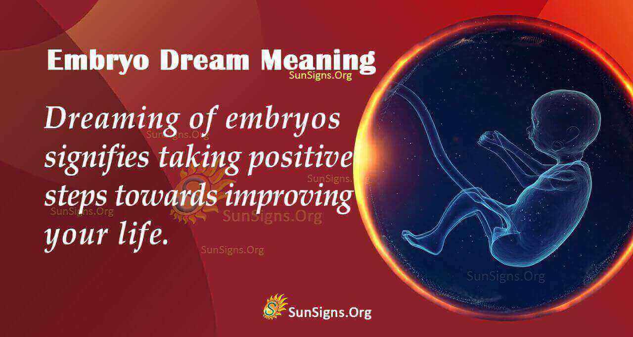 what-is-the-meaning-of-an-embryo-dream-interpretation-and-symbolism