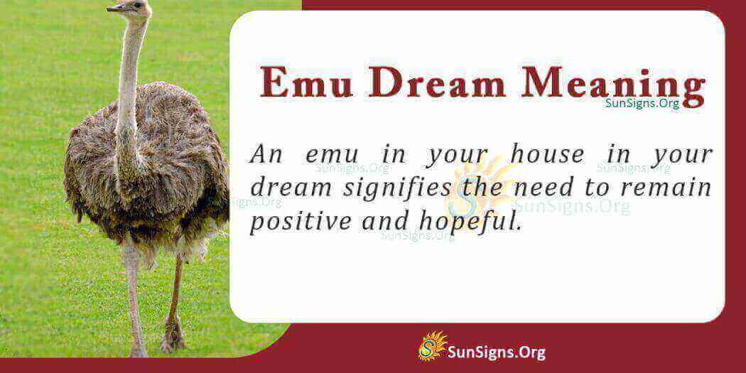 seeing-an-emu-in-your-dream-meaning-interpretation-and-symbolism