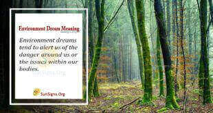 Environment Dream Meaning