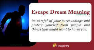 Escape Dream Meaning