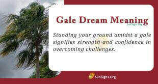 Gale Dream Meaning