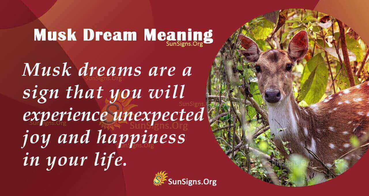 dream-of-musk-meaning-interpretation-and-symbolism-sunsigns-org