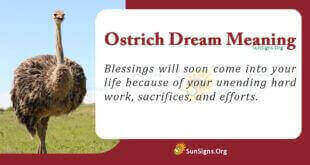 Ostrich Dream Meaning