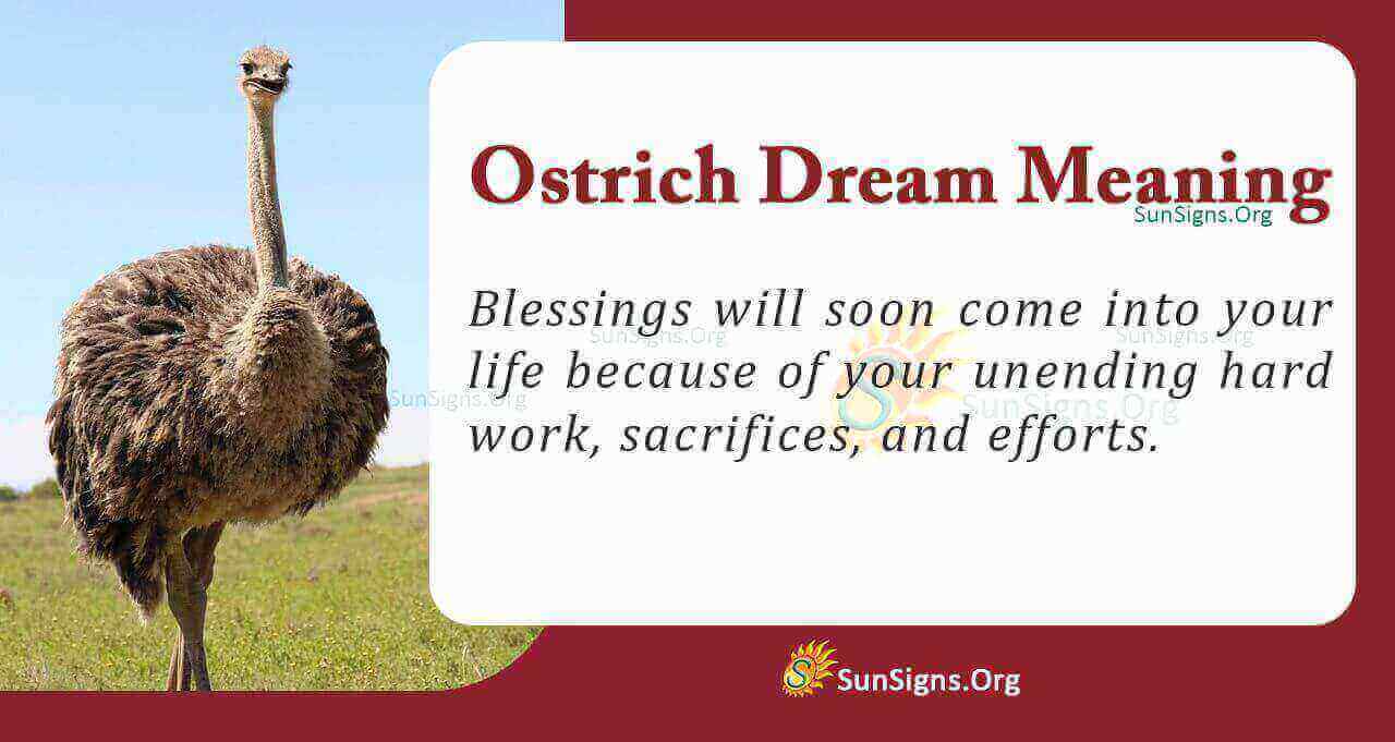 Ostrich In Your Dream - Meaning, Interpretation And Symbolism - SunSigns.Org