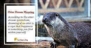 Otter Dream Meaning