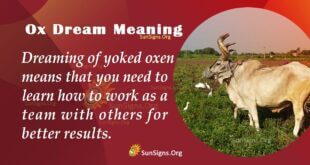 Ox Dream Meaning