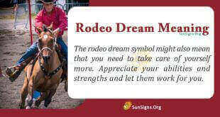 Rodeo Dream Meaning