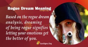 Rogue Dream Meaning