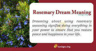 Rosemary Dream Meaning