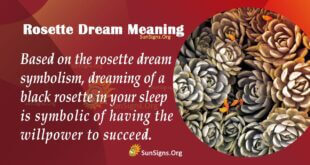 Rosette Dream Meaning