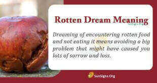 Rotten Dream Meaning