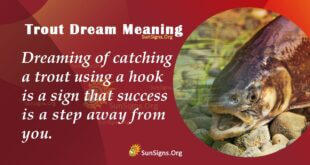 Trout Dream Meaning