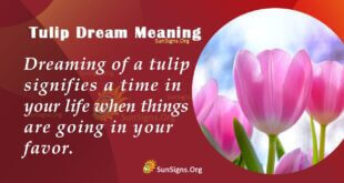 Tulip Dream Meaning