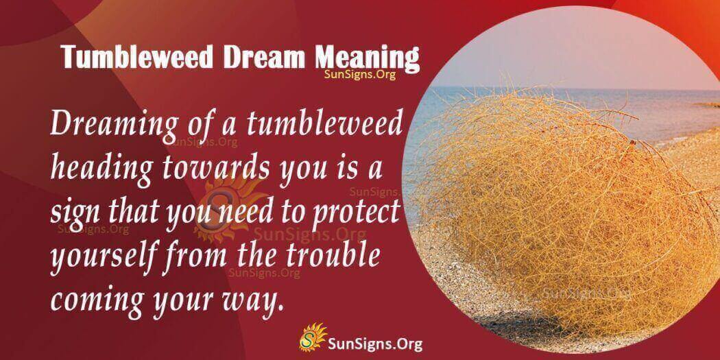 dreaming-of-a-tumbleweed-meaning-interpretation-and-symbolism