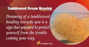 Tumbleweed Dream Meaning