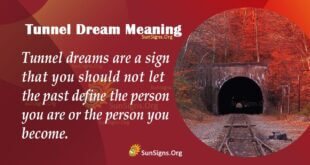 Tunnel Dream Meaning