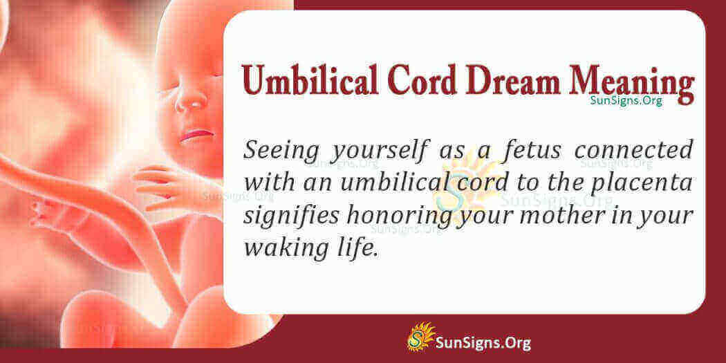 Umbilical Cord Meaning