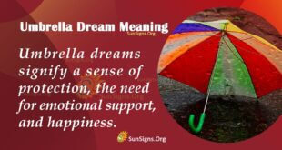 Umbrella Dream Meaning