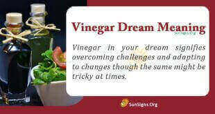 Vinegar Dream Meaning