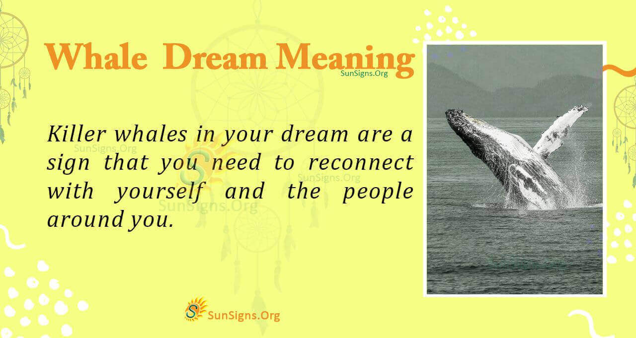 A Whale in Your Dream - Meaning, Interpretation and Symbolism ...