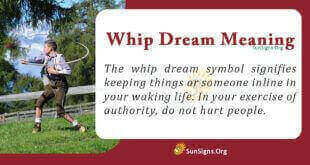 Whip Dream Meaning