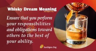 Whiskey Dream Meaning