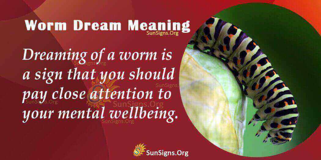 dreaming-of-worms-meaning-interpretation-and-symbolism-sunsigns-org