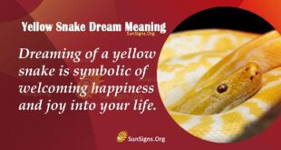 Yellow Snake Dream Meaning