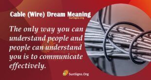 Cable(Wire) Dream Meaning