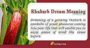 Rhubarb Dream Meaning