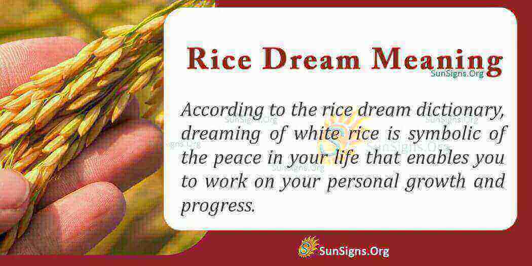 dreaming-of-rice-meaning-interpretation-and-symbolism-sunsigns-org