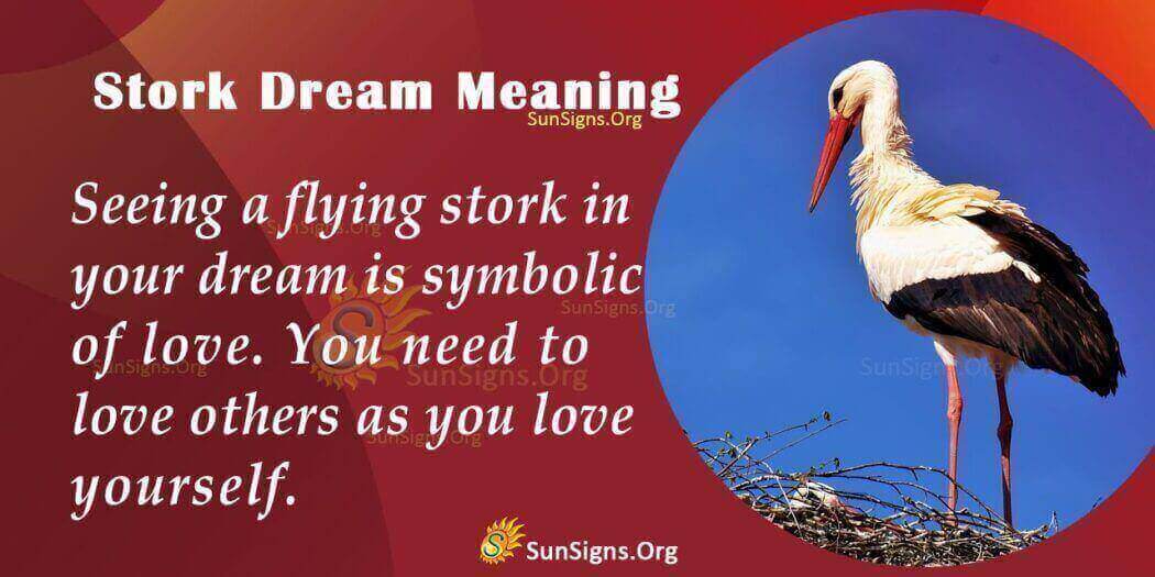 seeing-a-stork-in-dreams-meaning-interpretation-and-symbolism