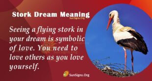 Stoke Dream Meaning