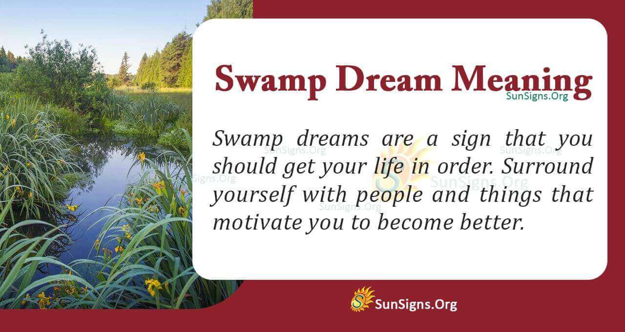 seeing-a-swamp-in-your-dream-meaning-interpretation-and-symbolism