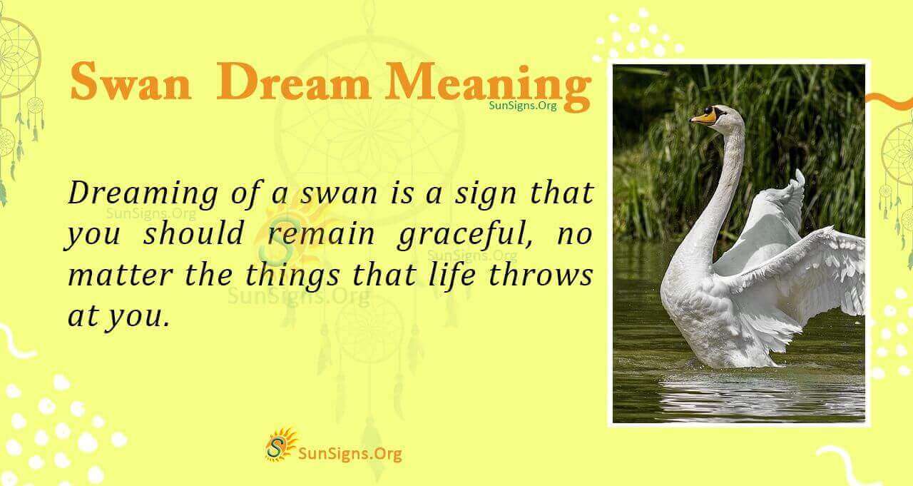Seeing A Swan In Your Dream Meaning, Interpretation and Symbolism