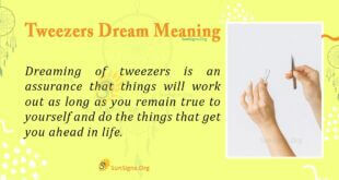 Tweezers Dream Meaning