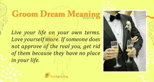 Groom Dream Meaning