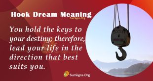 Hook Dream Meaning