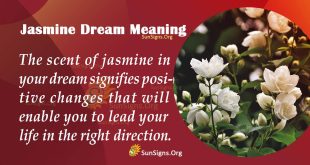 Jasmine Dream Meaning