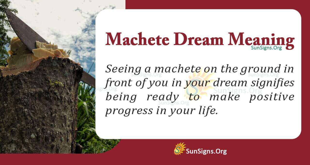 Dreaming of a Machete Meaning, Interpretation and Symbolism