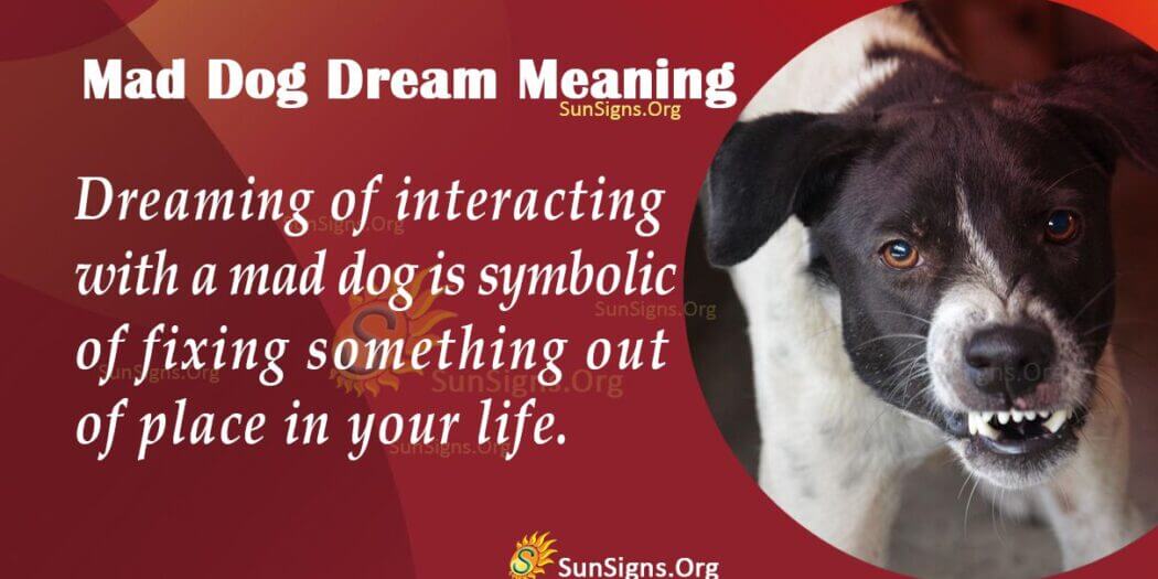 Seeing A Mad Dog In Your Dream Meaning Interpretation And Symbolism 