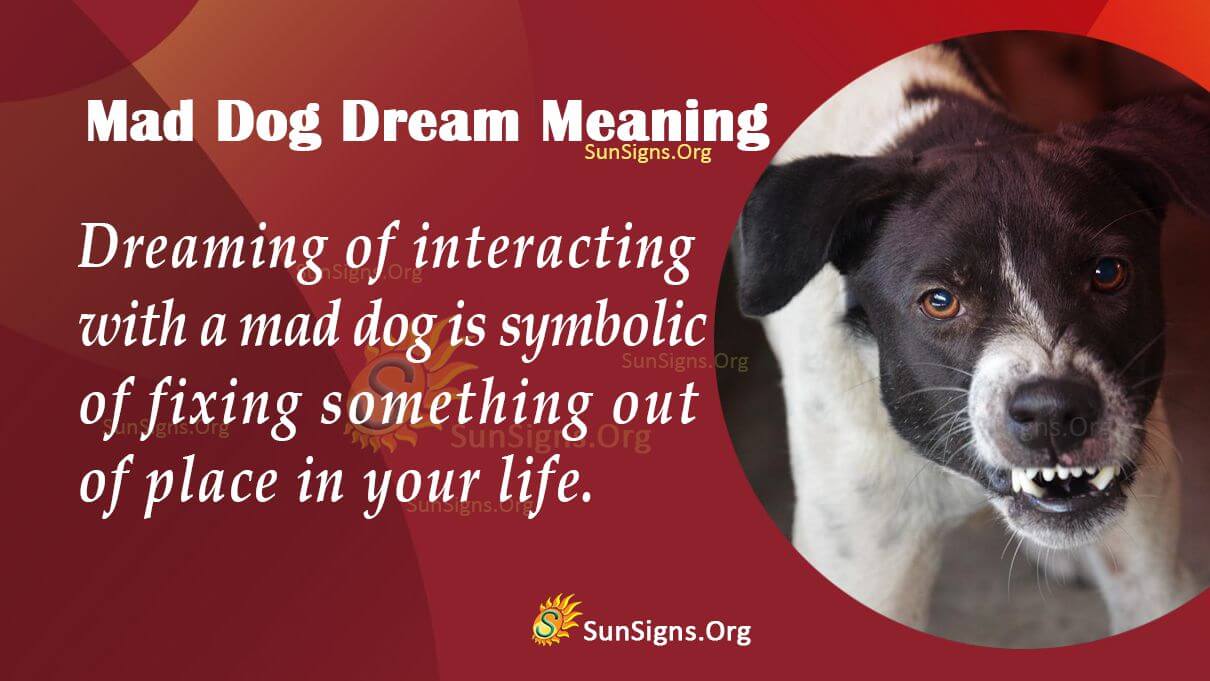 Seeing A Mad Dog In Your Dream Meaning Interpretation And Symbolism 