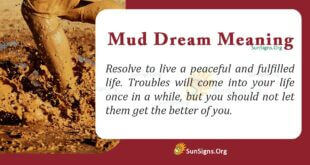 Mud Dream Meaning