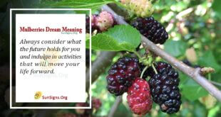 Mulberries Dream Meaning