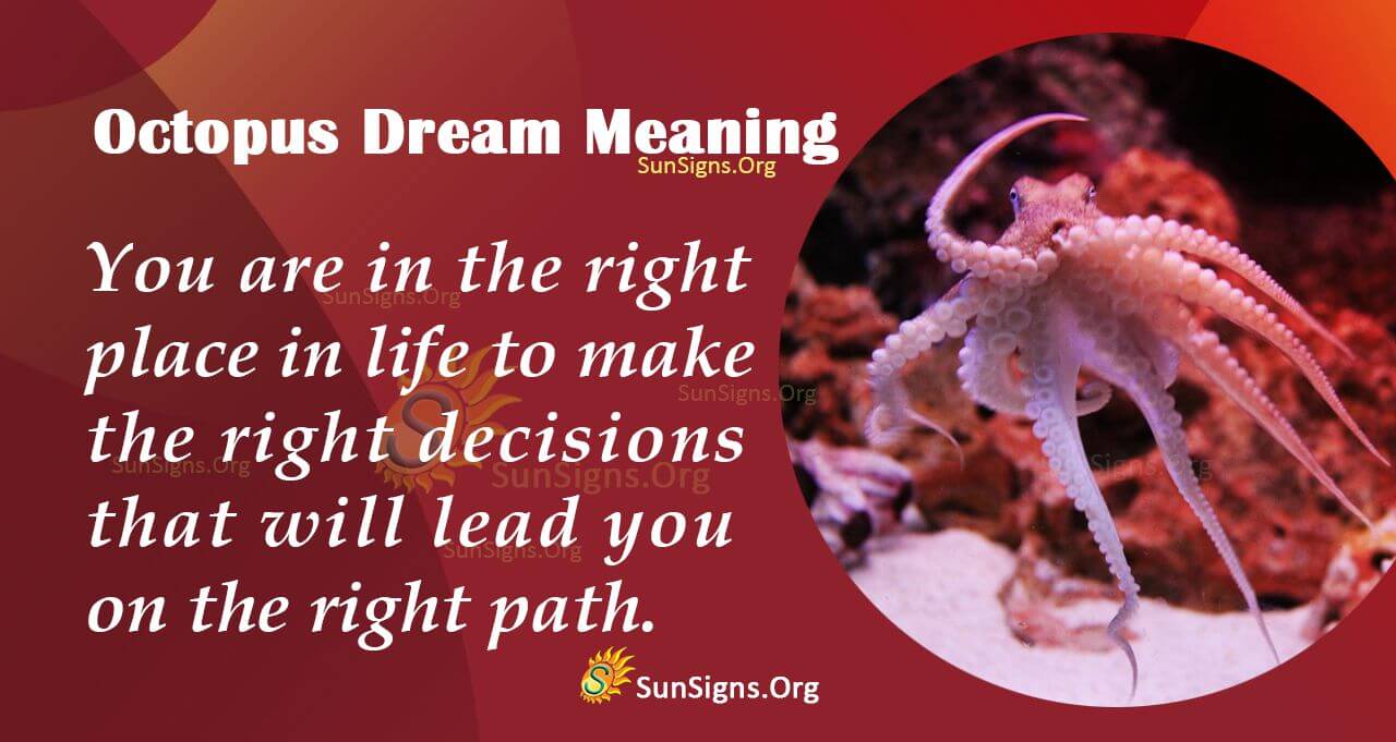 Octopus Dream Symbol - Meaning, Interpretation And Symbolism - SunSigns.Org