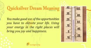 Quicksilver Dream Meaning