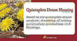 Quintuplets Dream Meaning