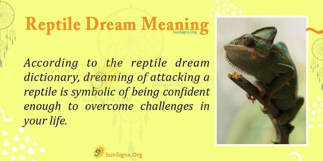 Reptile Dream Symbol - Meaning, Interpretation And Symbolism - SunSigns.Org