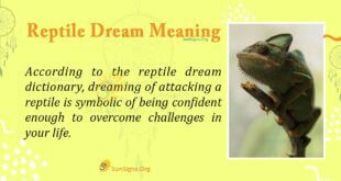 Reptile Dream Meaning